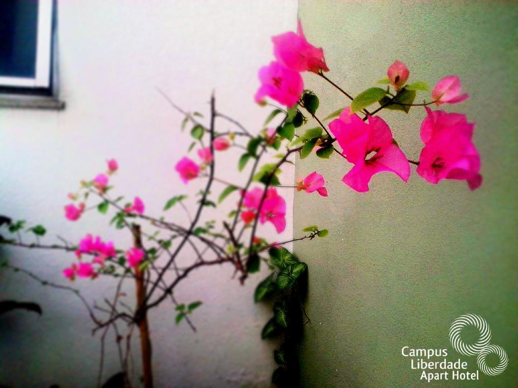 Campus Liberdade Flat Aparthotel Belo Horizonte Bagian luar foto
